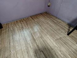 Blk 578 Woodlands Drive 16 (Woodlands), HDB 4 Rooms #572054301